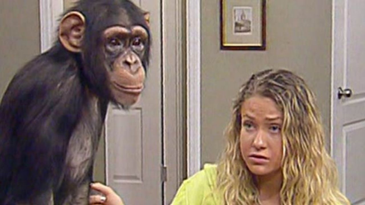 90'lı yıllara damga vuran maymun Çarli'ye ne oldu?