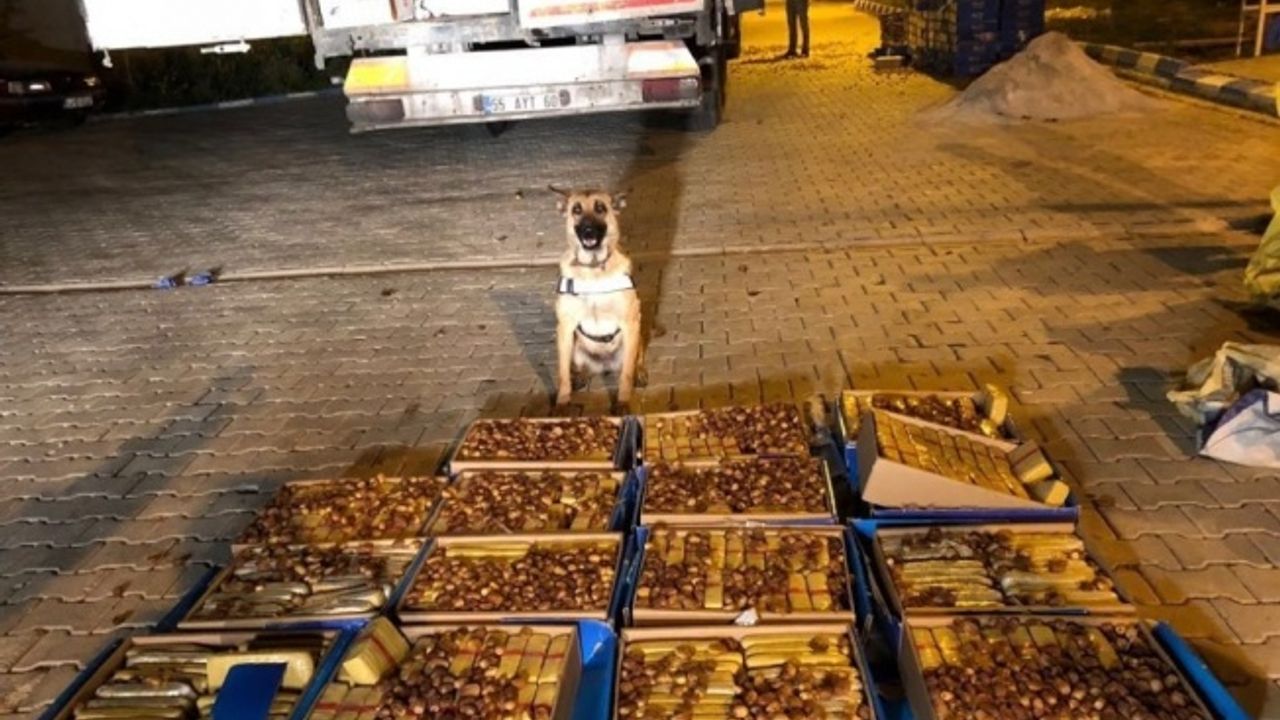 Van’da polis hurma kutuları içerisinde 138 kilo eroin ele geçirdi
