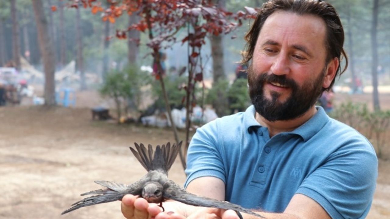 Gizemini koruyan Ebabil kuşu Karabük’ü yurt edindi