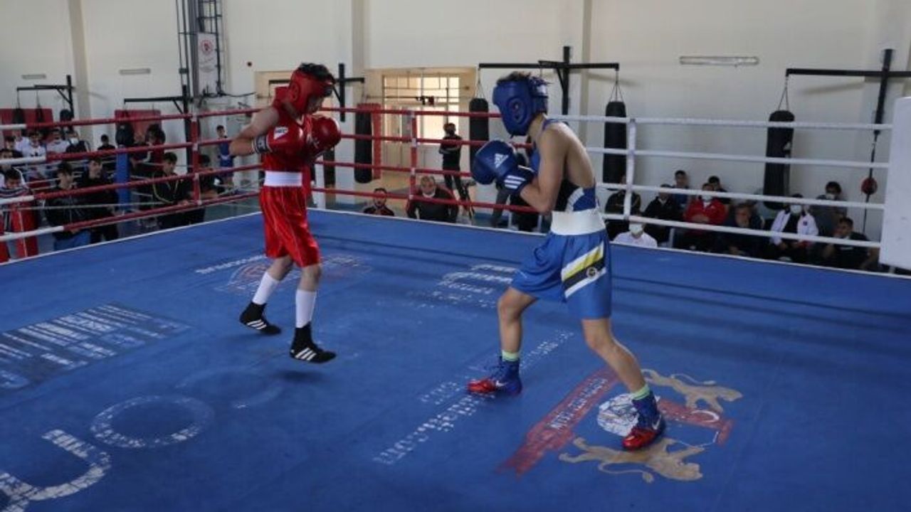 Avrupa Yıldızlar Boks Şampiyonası'na katılacak erkek milli takımının seçmeleri Kastamonu'da yapılıyor