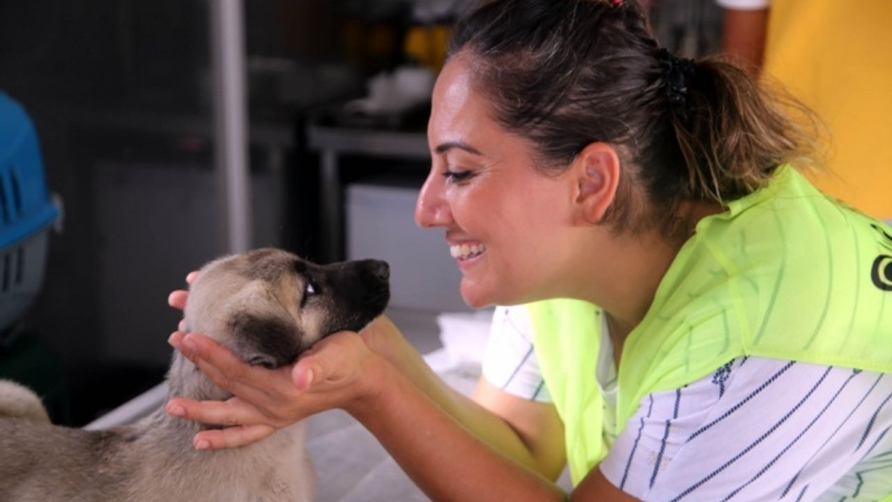 Ses sanatçısı 15 gündür sel bölgesinde sokak hayvanları için çalışıyor