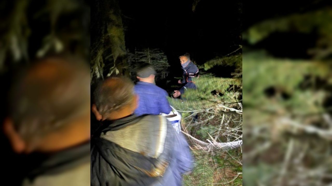 Karabük'te ormanlık alanda kaybolan 3 kişi bulundu