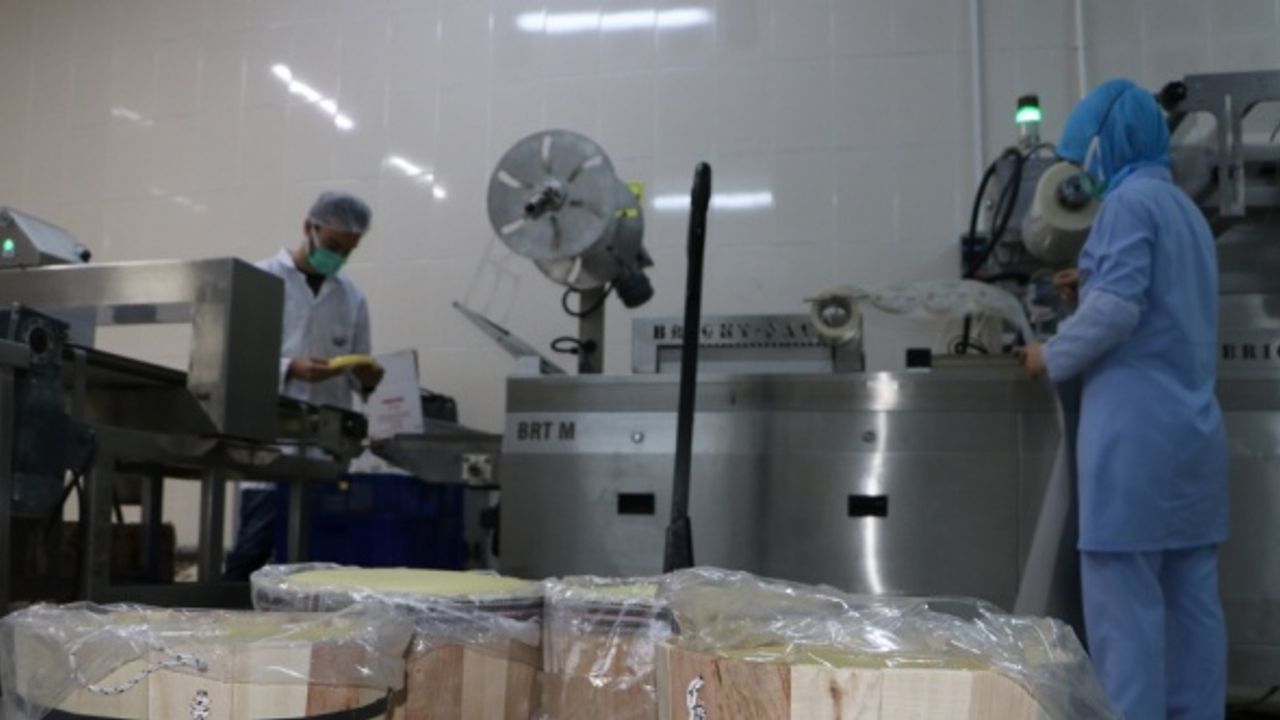 Coğrafi işaret belgesi "Vakfıkebir külek peyniri"ne ilgiyi artırdı