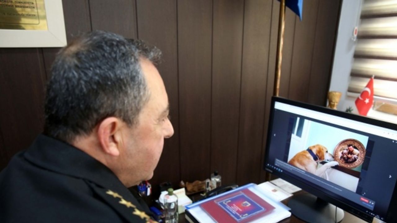 Tokat Cumhuriyet Başsavcısı ve İl Jandarma Komutanı AA'nın "Yılın Fotoğrafları" oylamasına katıldı