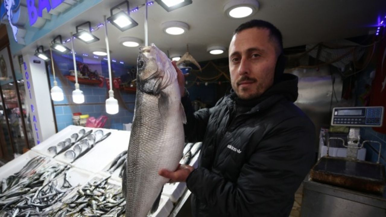 Karadeniz'de avlanan 8 kilogramlık levrek 2 bin liradan satışa sunuldu