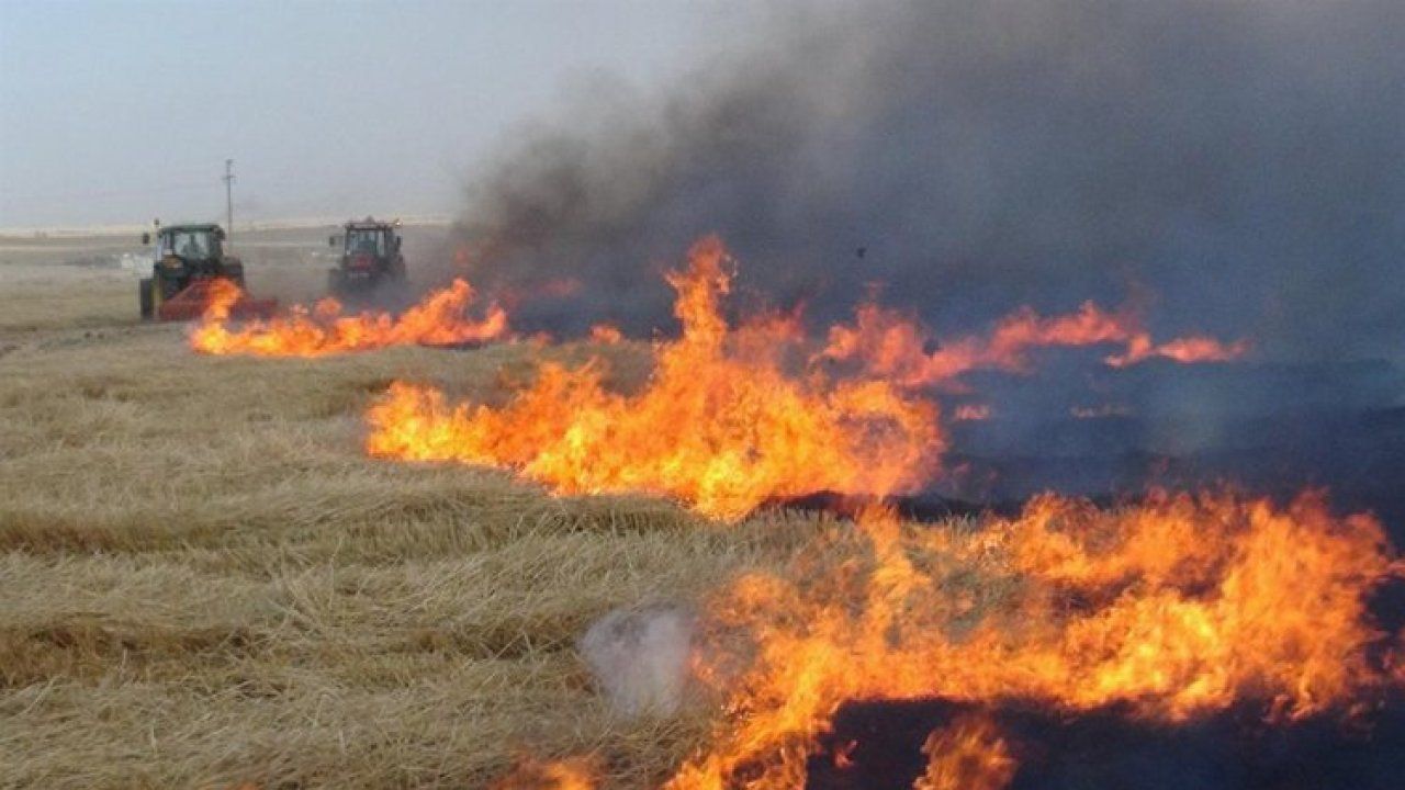 Sakarya'dan 'tarımsal faaliyetlerde ateş yakmayın' uyarısı