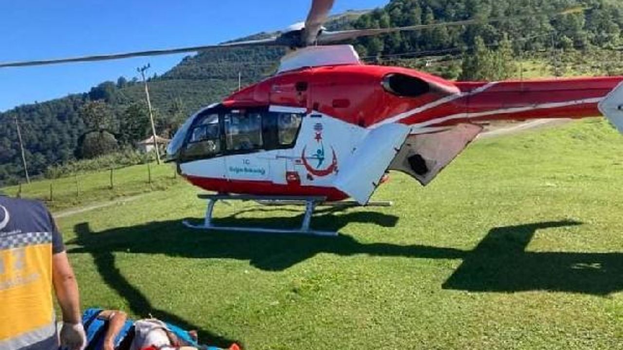 Trabzon'da ağaçtan düştü! Ambulans helikopter hemen geldi