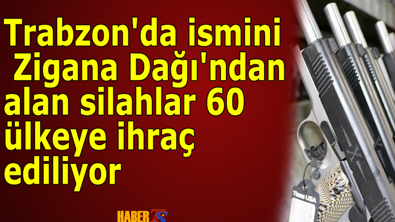 Trabzon'da ismini Zigana Dağı'ndan alan silahlar 60 ülkeye ihraç ediliyor