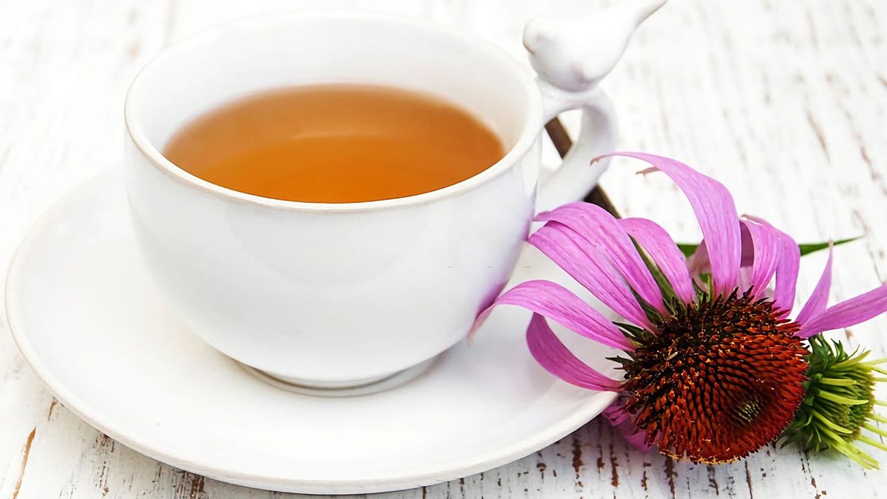 Ekinezya Çayının Sağlık İçin 5 Faydası