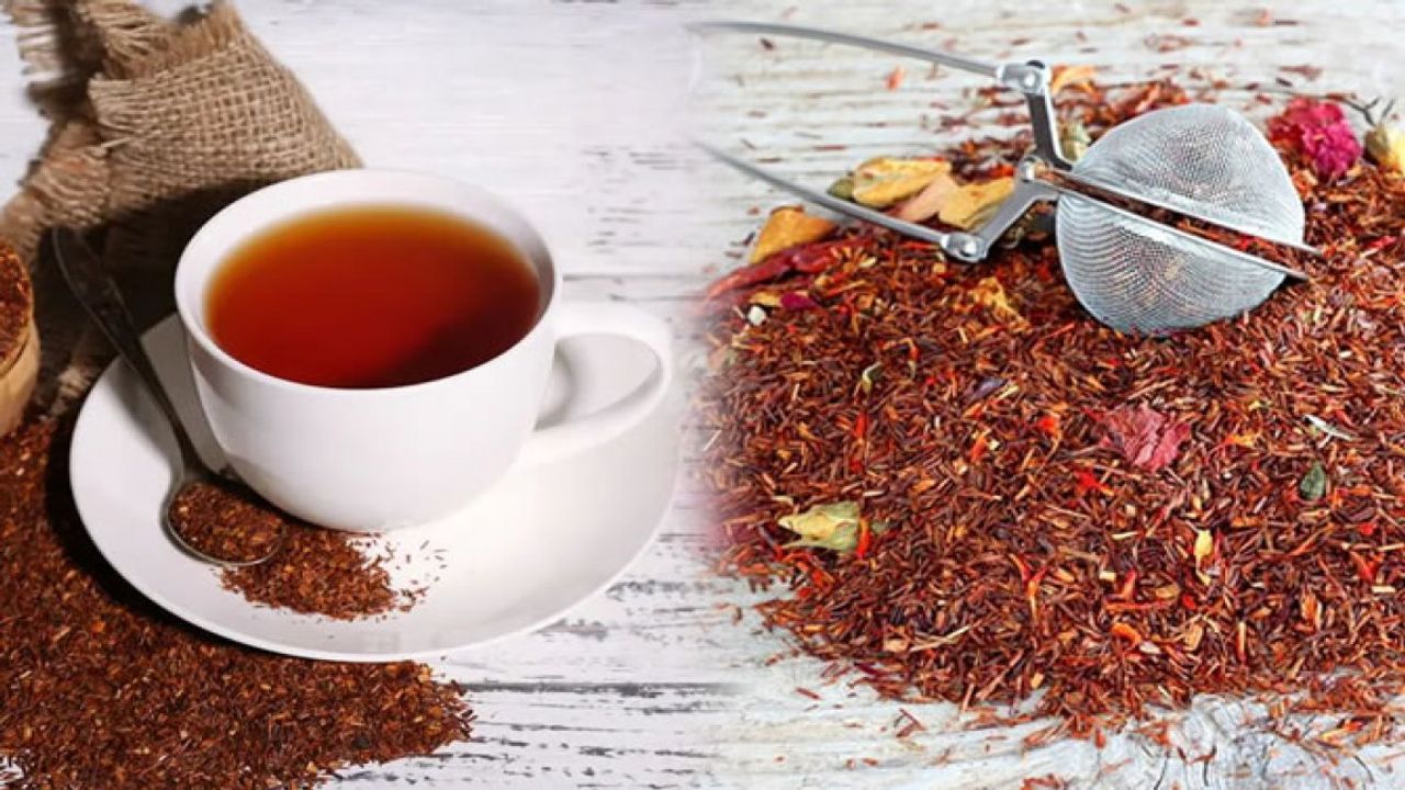 Rooibos çayı faydaları nelerdir? Kırmızı çayın 8 faydası!