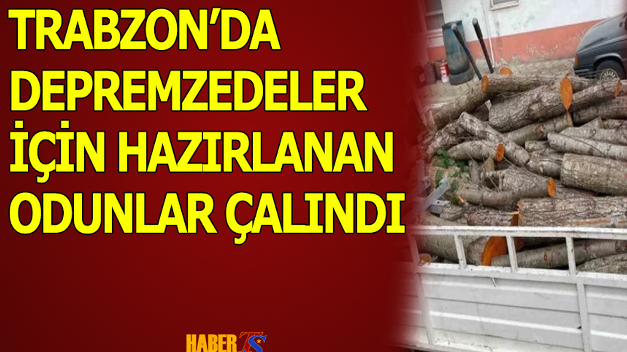 Trabzon'da depremzedeler için hazırlanan odunlar hırsızlar tarafından çalındı