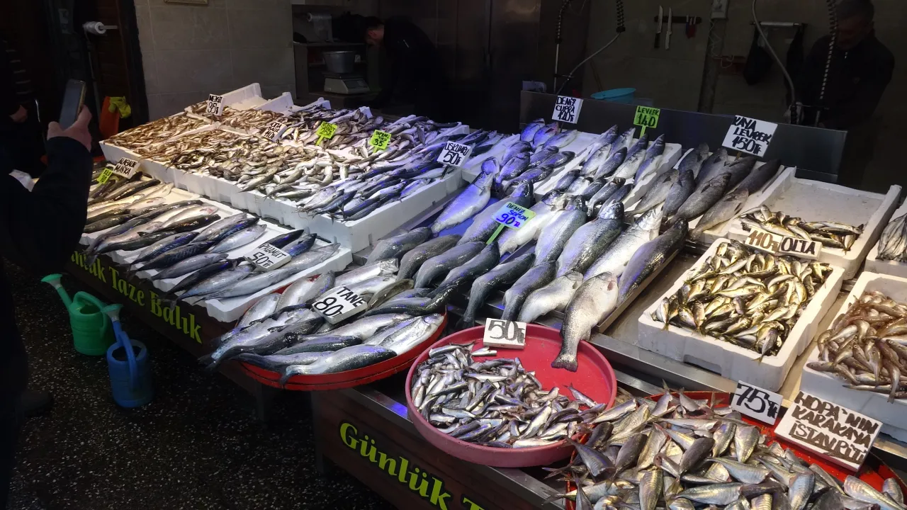 Trabzon'da güncel yeni balık fiyatları
