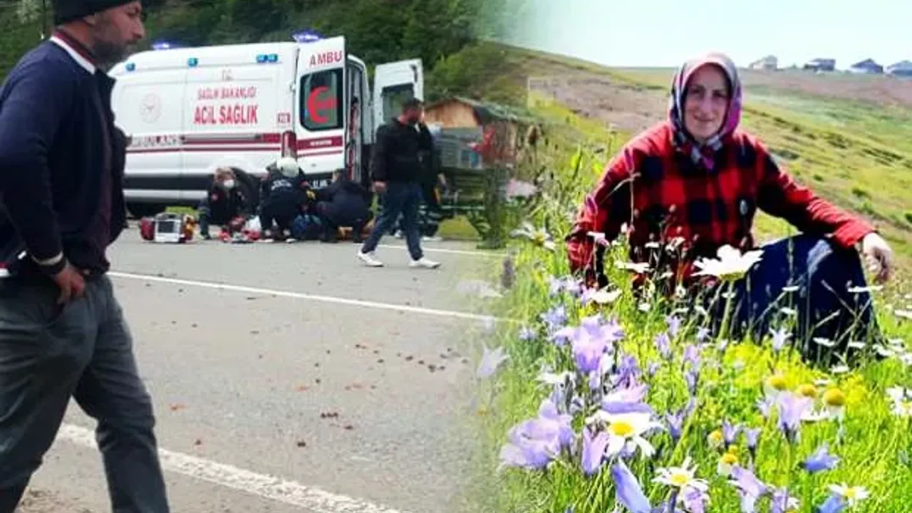 Trabzon'da kuşlara yem vermeye giden 2 çocuk annesi kadının acı ölümü!