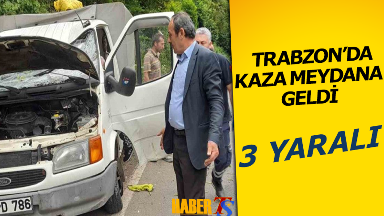 Trabzon’da araç köy yolundan karayoluna düştü