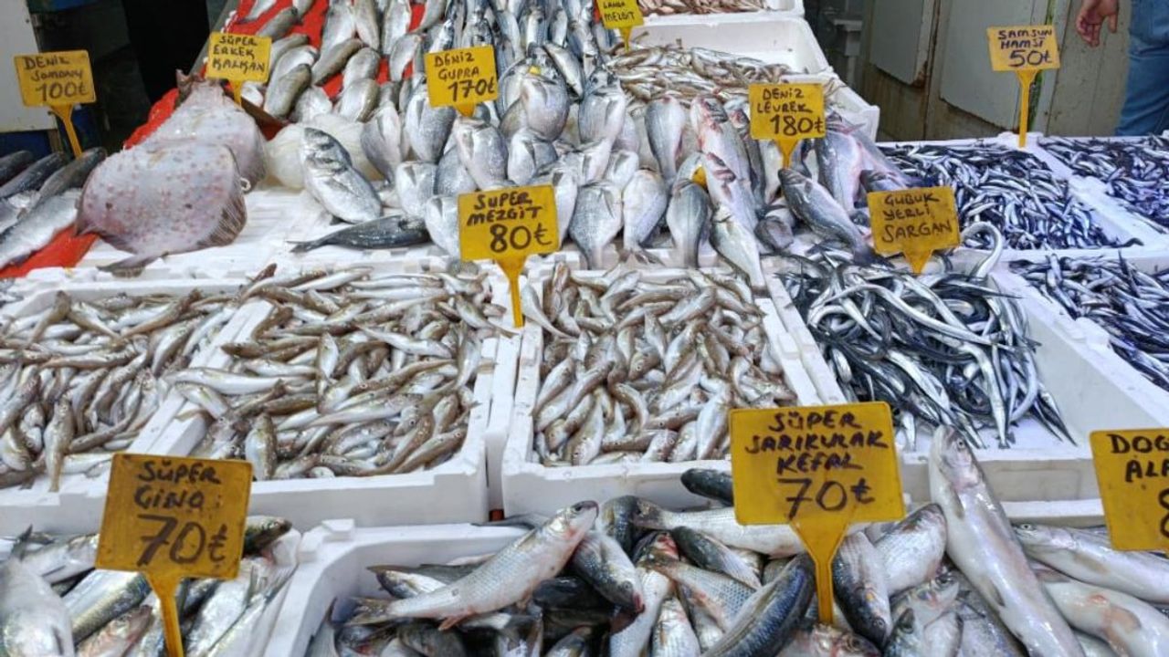Balık fiyatları düşmeye başladı! Hamsinin kilosu...