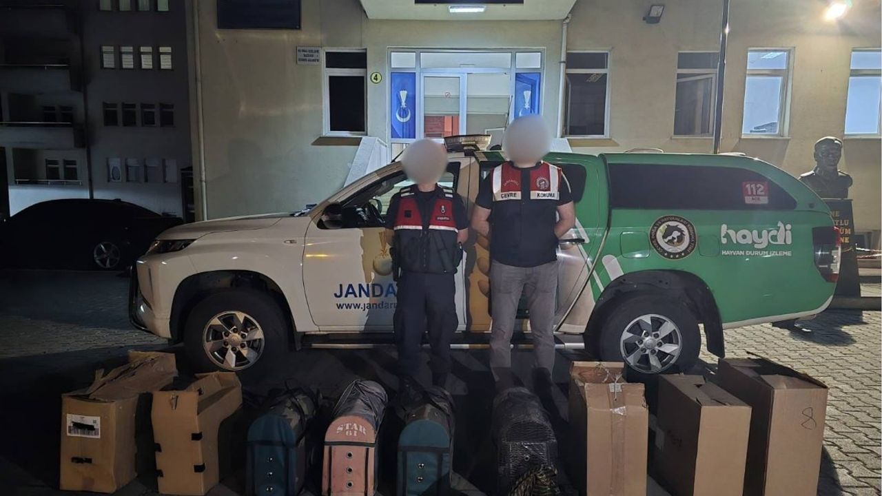 Horoz Dövüşüne Jandarmadan Baskın: 4 Kişiye Para Cezası, 9 Horoza El Konuldu