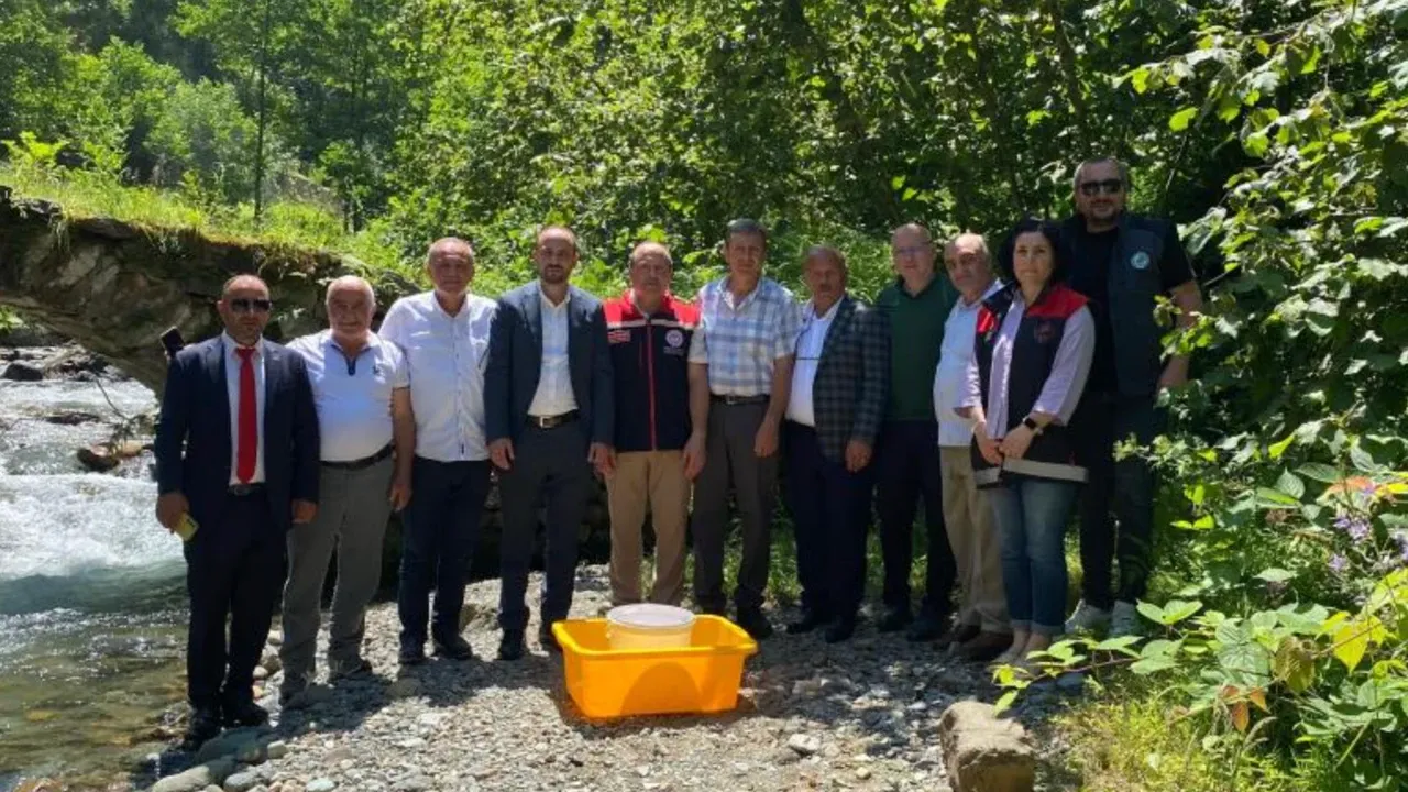 Sürmene’de 15 Bin Alabalık Yavrusu Doğayla Buluştu