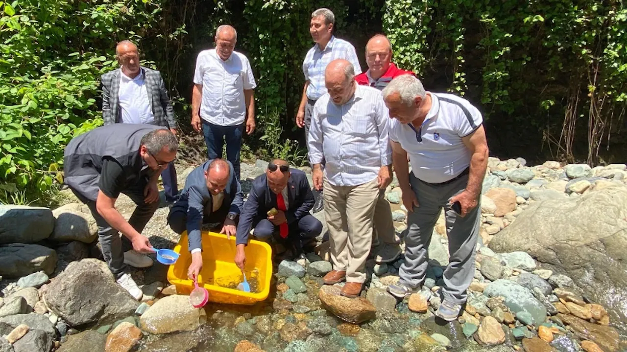 Küçükdere Vadisi’ne 10 Bin Kırmızı Benekli Alabalık Bırakıldı