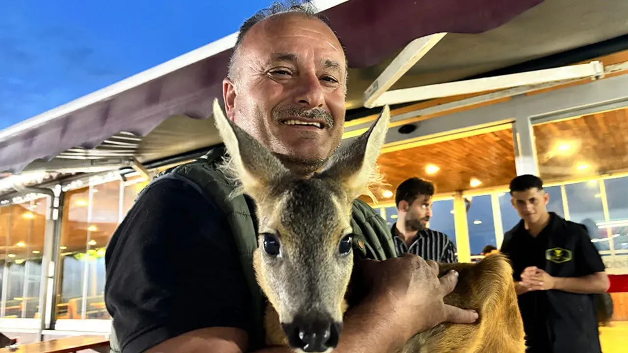 Kızının Anısını Yaşatıyor, Karaca ile Yeni Bir Hayat Kuruyor