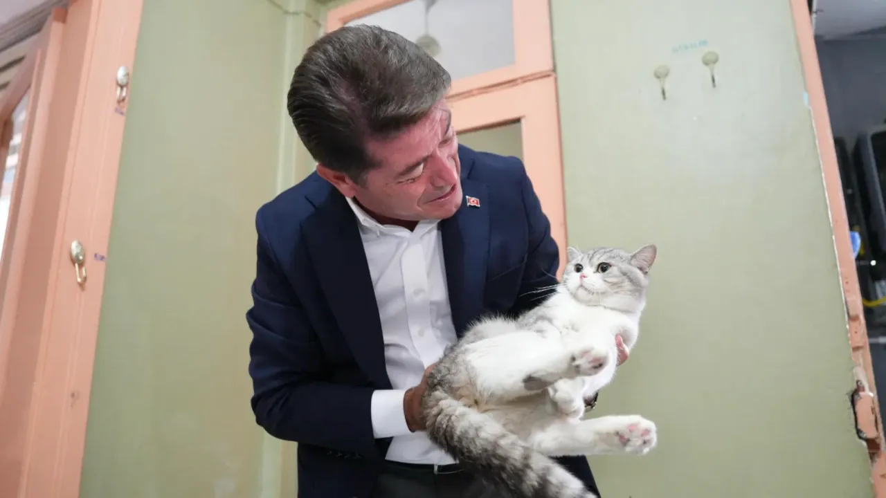 Sokak Hayvanlarına Ortahisar Belediyesi’nden Destek