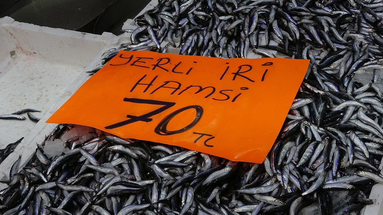 Karadeniz’de Hamsi Bolluğu Yaşanıyor: Fiyatlar Düştü