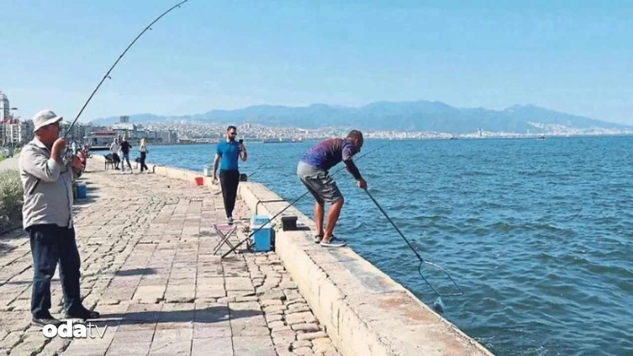 İzmir Konak’ta Balıkçının Oltasına Kafatası Takıldı