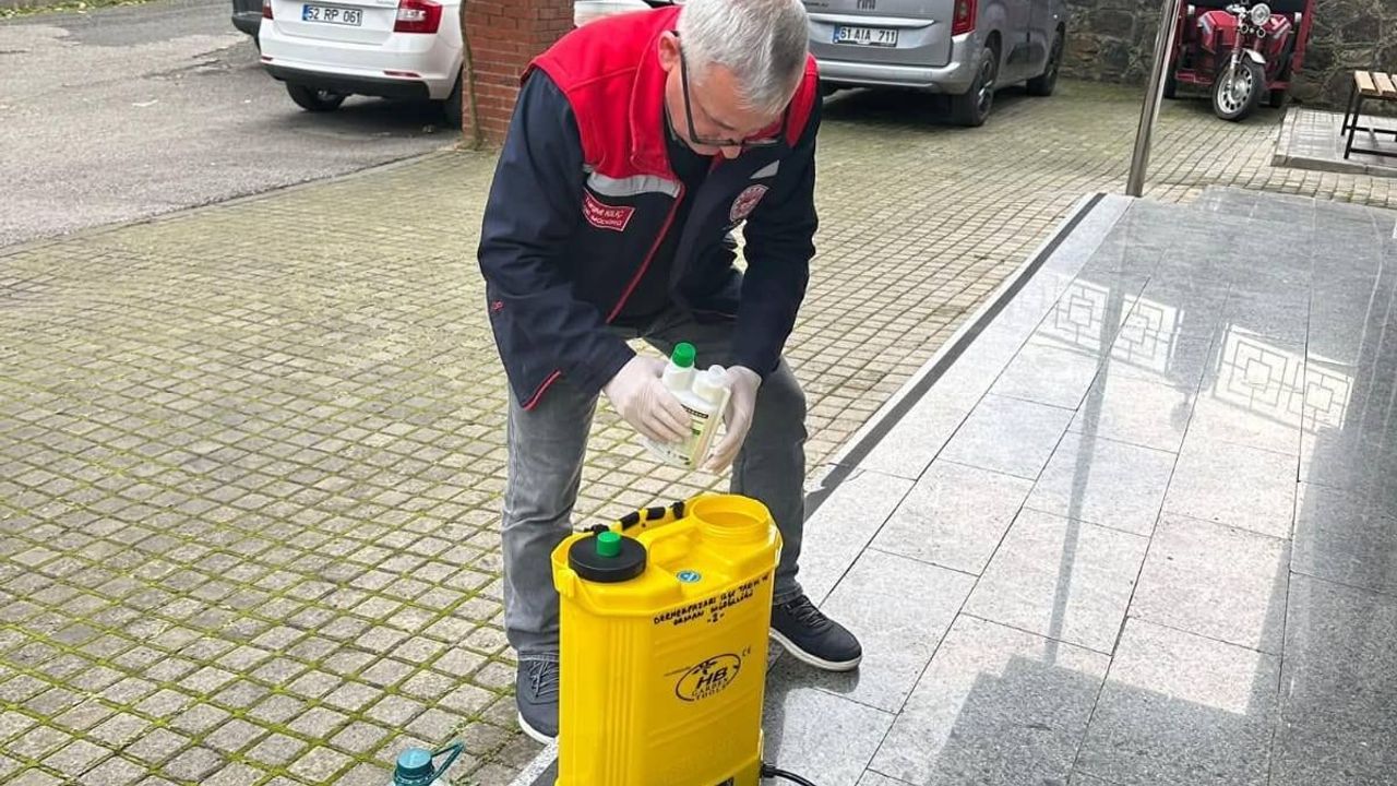 Trabzon’da Kahverengi Kokarcaya Ücretsiz Mücadele