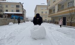 BAYBURT - Cadde ve sokaklar beyaza büründü