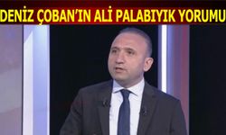 Deniz Çoban'ın Ali Palabıyık Yorumu