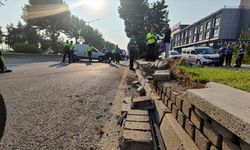 AYDIN - Kaldırıma çarpan hafif ticari araçtaki 2 kişi yaralandı