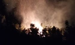 HATAY - Ormanlık alanda çıkan yangına müdahale ediliyor