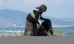Koruma altındaki kum zambaklarının da bulunduğu sahilden 2,5 ton atık ve çöp toplandı