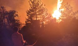MANİSA - Soma'da orman yangınına müdahale ediliyor (2)