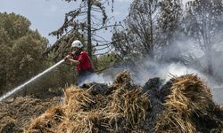 MERSİN - Ormanlık alanın yanındaki saman balyalarında çıkan yangın söndürüldü