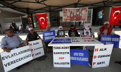 KARABÜK - AK Parti Karabük Milletvekili Ünal, tırpanla hasat yaptı