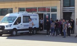 MERSİN - Alternatif ürün olması amacıyla Peru elması yetiştiriliyor