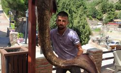 Çorum'daki Obruk baraj gölünde 50 kiloluk yayın balığı yakalandı