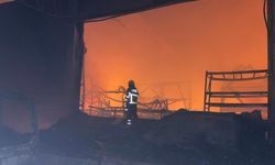 GÜNCELLEME - Samsun'da gıda ve kozmetik fabrikasında yangın
