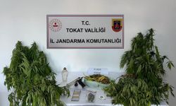 Tokat'ta uyuşturucu operasyonunda 1 kişi yakalandı