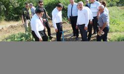 Vali Masatlı, Taşova'da Özel İdare çalışmalarını inceledi