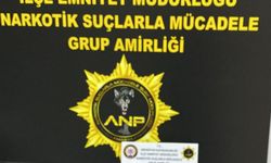 Amasya'da uyuşturucu operasyonunda 1 zanlı tutuklandı