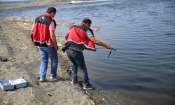 HATAY - Balık ölümleri görülmesi üzerine inceleme başlatıldı