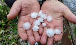 KARS - Etkili olan dolu meyve bahçelerine zarar verdi