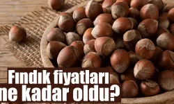 Fındık Fiyatlarında Son Durum Ne?