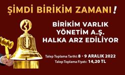 Birikim Varlık Yönetim halka arz ne zaman?