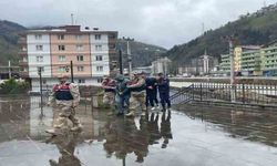 Trabzon Çaykara'da Hırsızlık Çetesi Çökertildi
