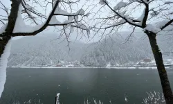 Trabzon Uzungöl kar altında