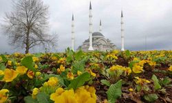 Tamamlandığında Doğu Karadeniz’in en büyük cami ve külliyesi olacak