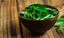 Köri yaprağı zayıflatır mı? Köri yaprağı faydaları nelerdir?