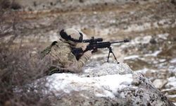 MSB 2 PKK’lı teröristi etkisiz hale getirdi.